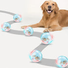 Golden Retriever with interactive LED ball toy, pet playtime, dog entertainment, smart pet toy, glowing ball for dogs, fun pet activity.