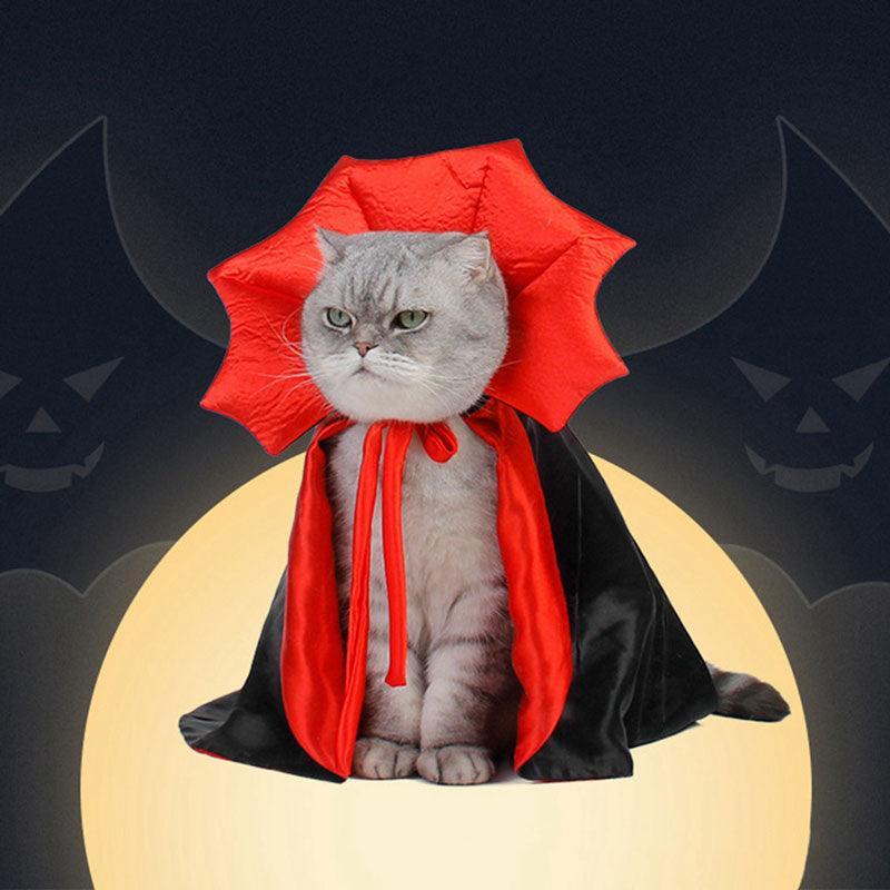 Cat in a red and black vampire cape costume for Halloween, sitting against a moonlit background with spooky silhouettes. Perfect for pet cosplay.