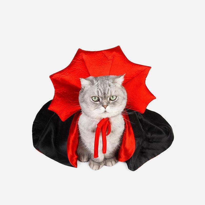 Cat wearing a red and black vampire cape costume for Halloween cosplay. Perfect pet outfit for festive occasions and themed parties.