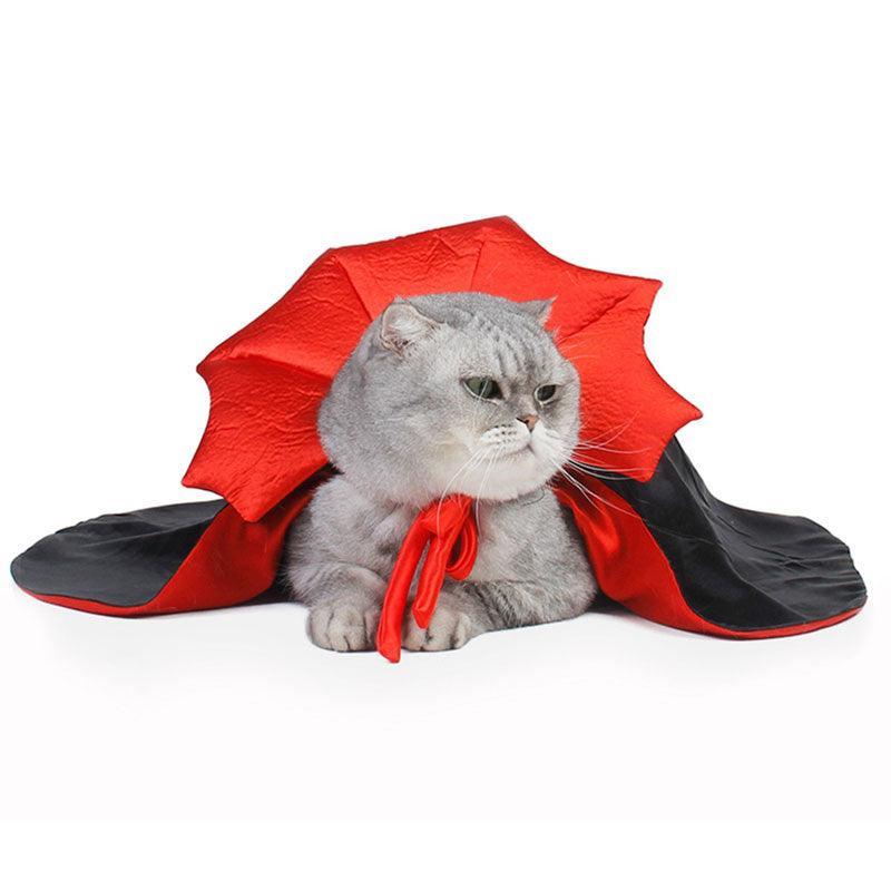 Cat wearing a red and black vampire cape costume, perfect for Halloween cosplay. Cute pet outfit for festive occasions and themed parties.