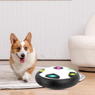 Corgi playing with LED hover soccer ball toy on indoor carpet, featuring colorful lights. Perfect pet toy for active dogs, indoor play, exercise.