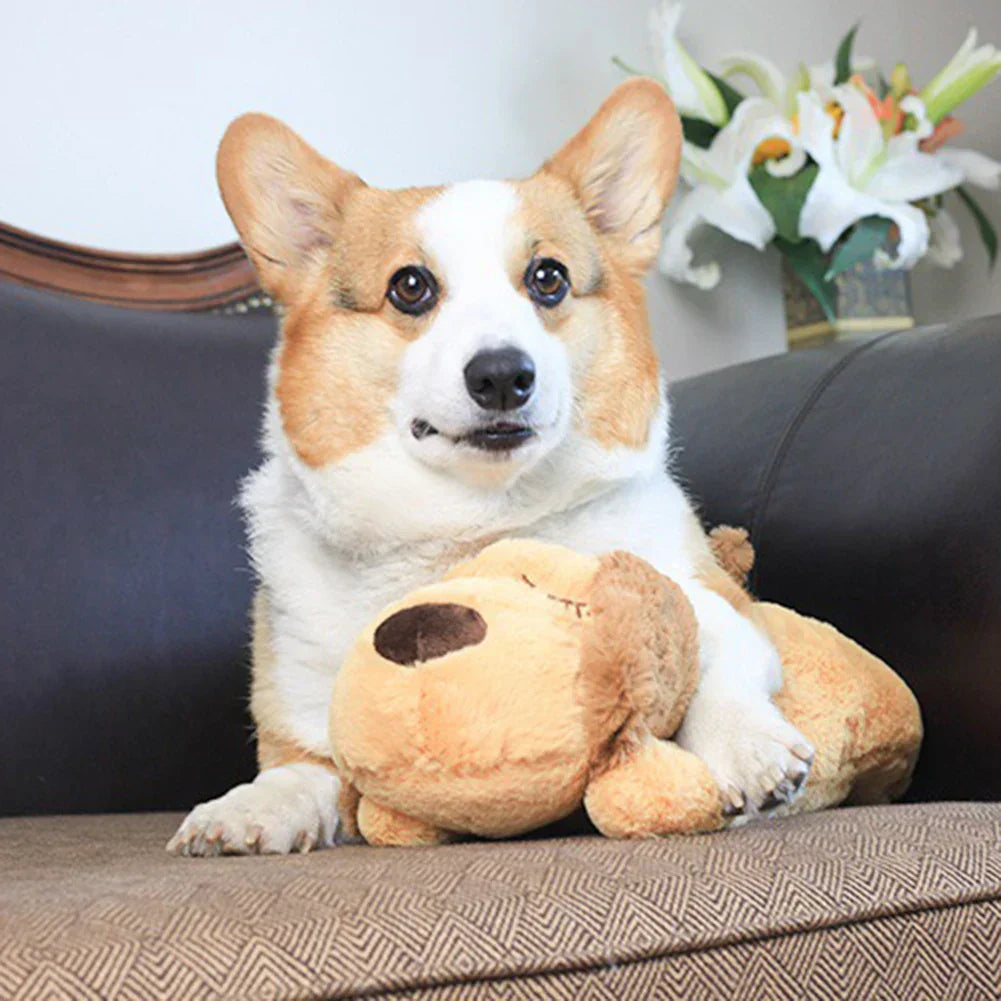 Corgi dog resting on a sofa with a plush toy, surrounded by white lilies. Cute pet, cozy home setting, adorable dog photo, corgi with toy.