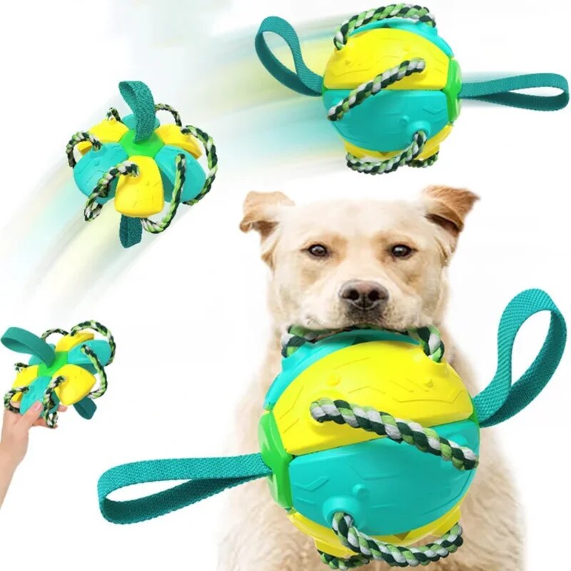 Dog playing with a durable, interactive chew toy featuring a green and yellow ball with ropes. Perfect for pet training, fetch, and dental health.