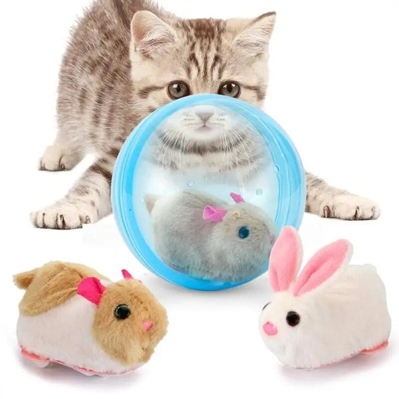 Kitten playing with interactive toy set featuring a blue hamster ball and plush animals; perfect pet toys for cats, promoting exercise and fun.