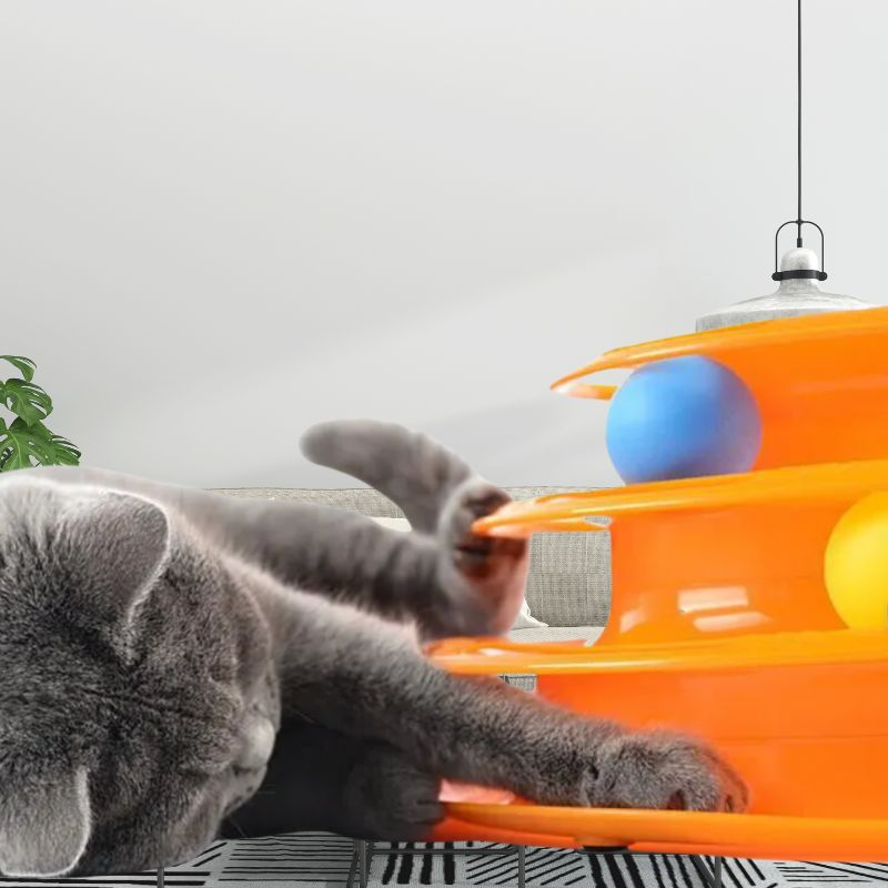 Gray cat playing with an orange spiral cat toy featuring colorful balls, on a modern living room floor. Perfect interactive pet toy for indoor cats.