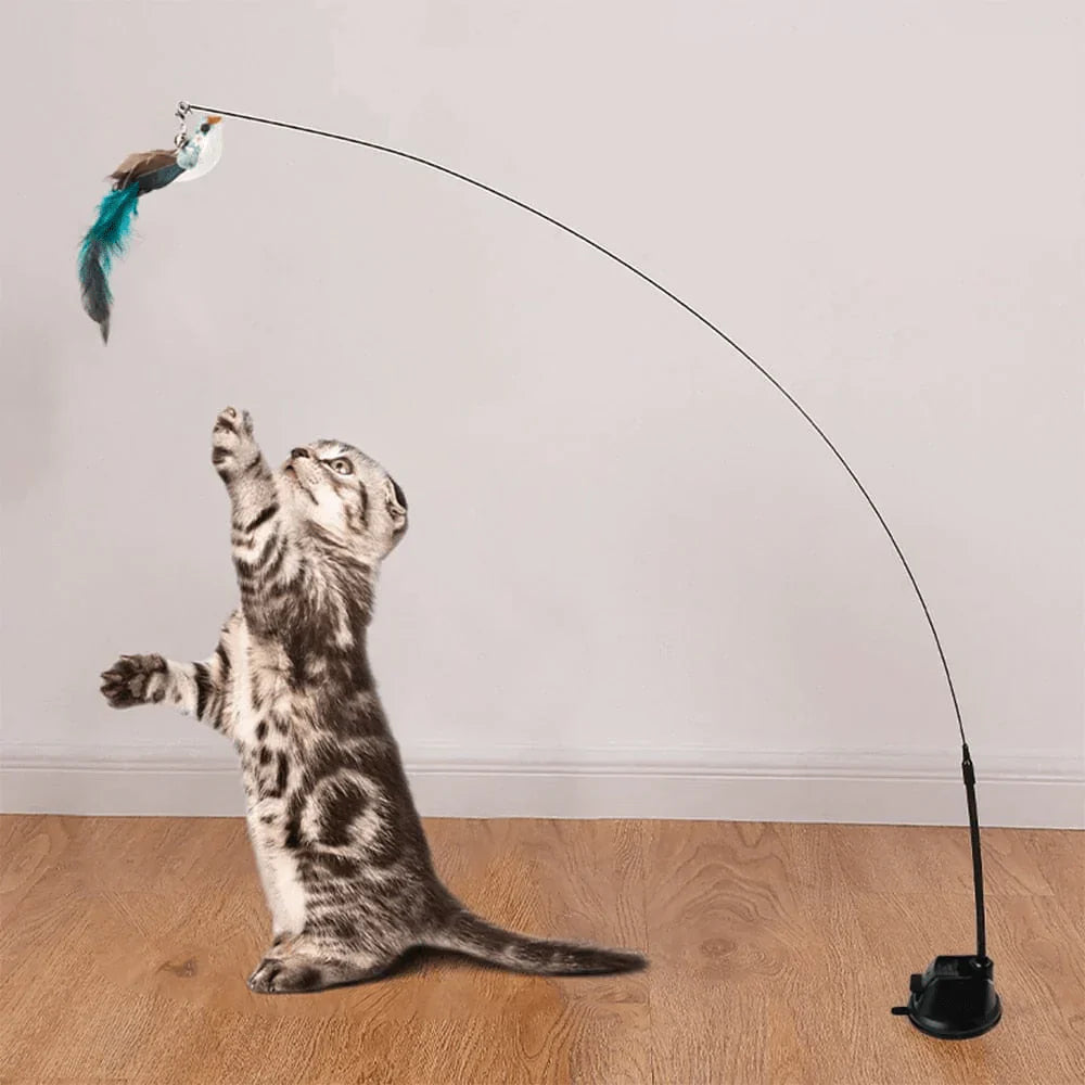 Kitten playing with interactive cat toy featuring a feathered lure on a flexible rod, perfect for indoor exercise and entertainment.