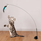 Kitten playing with interactive cat toy featuring a feathered lure on a flexible rod, perfect for indoor exercise and entertainment.