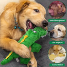 Golden retriever puppy playing with a green crocodile plush toy, promoting dental health and anxiety relief. Ideal dog toy for chewing and comfort.