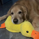 Golden Retriever resting head on yellow duck plush toy, lying on gray floor. Cute dog with stuffed animal, cozy pet scene, indoor setting.