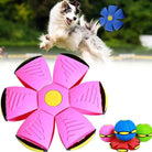 Colorful pet toy ball transforming into a frisbee, featuring a playful dog. Ideal for interactive dog play, durable design, and outdoor fun.