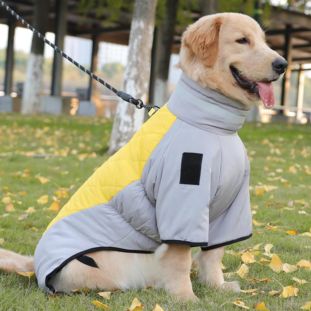 Golden Retriever in gray and yellow dog jacket, outdoor pet clothing, fall fashion.