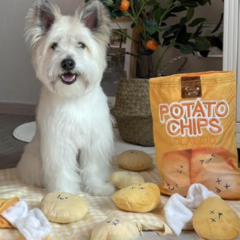 Cute white dog with fluffy fur sitting next to a large potato chips bag and plush toys on a checkered blanket; indoor pet photography.