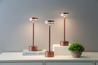 Modern copper LED table lamps on a white shelf, illuminating a small green plant. Stylish home decor lighting, minimalist design.