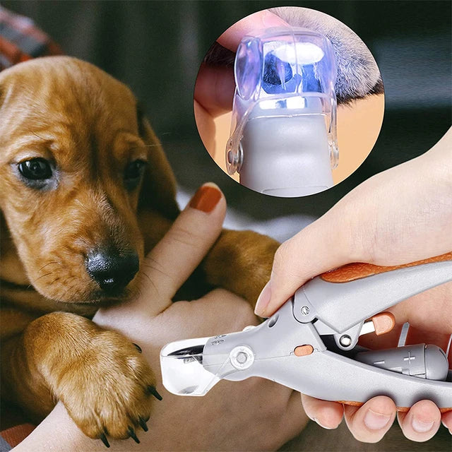 Pet nail clipper with LED light trimming a dog's nails, ensuring safe and precise grooming. Ideal for pet care, dog grooming, and nail maintenance.