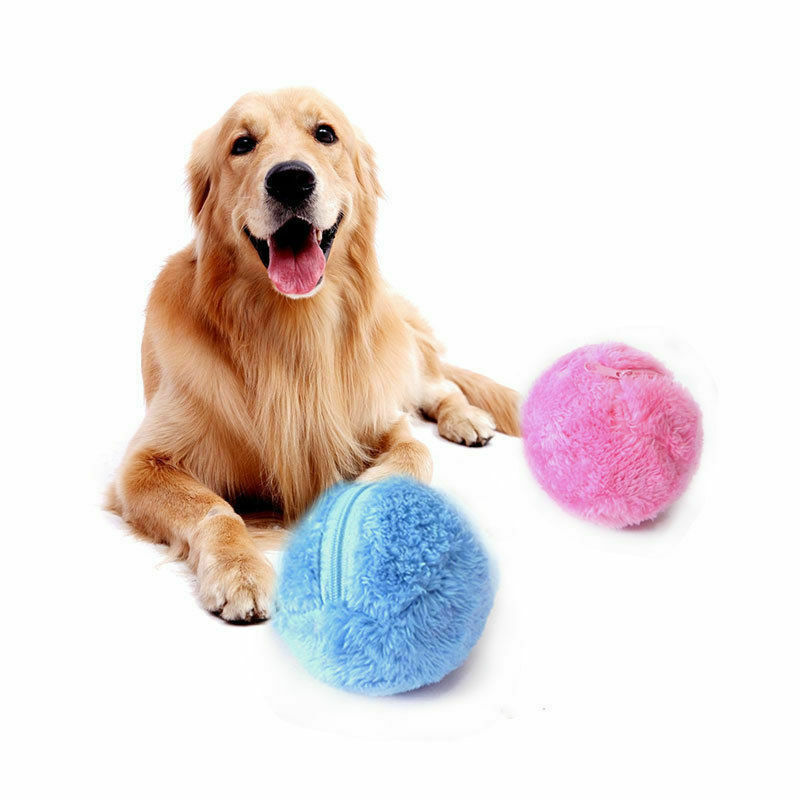 Golden Retriever with fluffy blue and pink balls, pet toy, playful dog accessories, interactive play, durable plush balls for dogs, pet supplies.