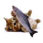 Cute kitten playing with a large fish toy, ginger tabby cat, realistic plush fish, pet toy, playful feline, interactive cat toy, home pet supplies.