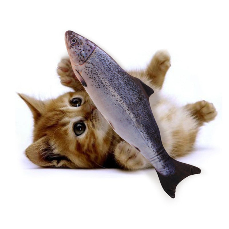 Cute kitten playing with a large fish toy, ginger tabby cat, realistic plush fish, pet toy, playful feline, interactive cat toy, home pet supplies.