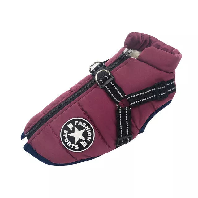 Dog winter coat with harness, maroon color, featuring "Fashion Sports" patch, zipper closure, and adjustable straps. Ideal for small to medium dogs.