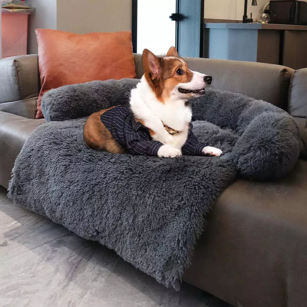 Corgi in a cozy, fluffy gray dog bed on a modern sofa, wearing a stylish sweater. Perfect pet furniture for comfort and style in home decor.