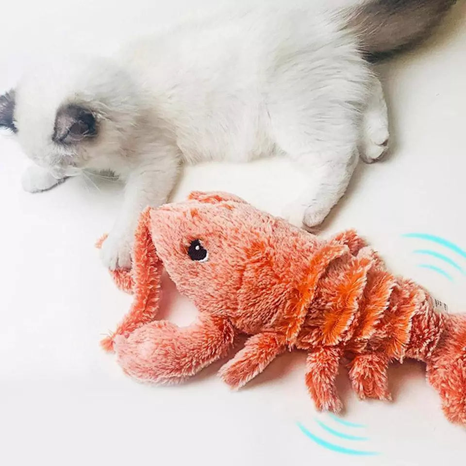 Fluffy white kitten playing with realistic orange lobster plush toy on white background. Cute pet and interactive stuffed animal for playful fun.