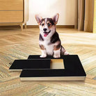 Corgi puppy sitting on a wooden floor beside a black sliding puzzle toy, showcasing pet playtime, interactive dog toys, and home decor.