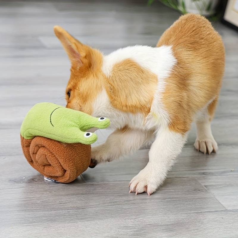 Corgi puppy playing with a plush snail toy on a wooden floor. Cute dog, pet toys, playful corgi, indoor pet activities, adorable puppy.