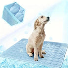 Golden Retriever sitting on a blue cooling mat with ice cubes and snowflakes, ideal for pet cooling solutions, summer pet accessories, dog comfort.