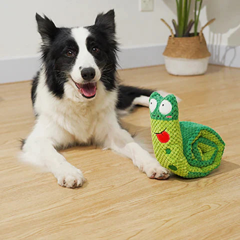 Border Collie with green snake plush toy on wooden floor, indoor setting. Dog toy, pet playtime, cute dog, home decor, playful pet accessories.