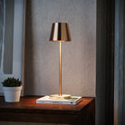 Elegant gold table lamp on wooden surface, modern minimalist design, warm ambient lighting, next to a small potted plant and books.