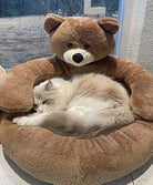 Fluffy cat sleeping in a cozy teddy bear-shaped pet bed by a window. Plush pet bed, comfortable cat resting, cute animal furniture.