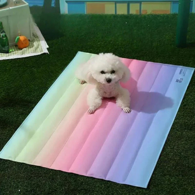 Small white dog sitting on a colorful pastel cooling mat outdoors, surrounded by green grass. Perfect for pet comfort and summer heat relief.