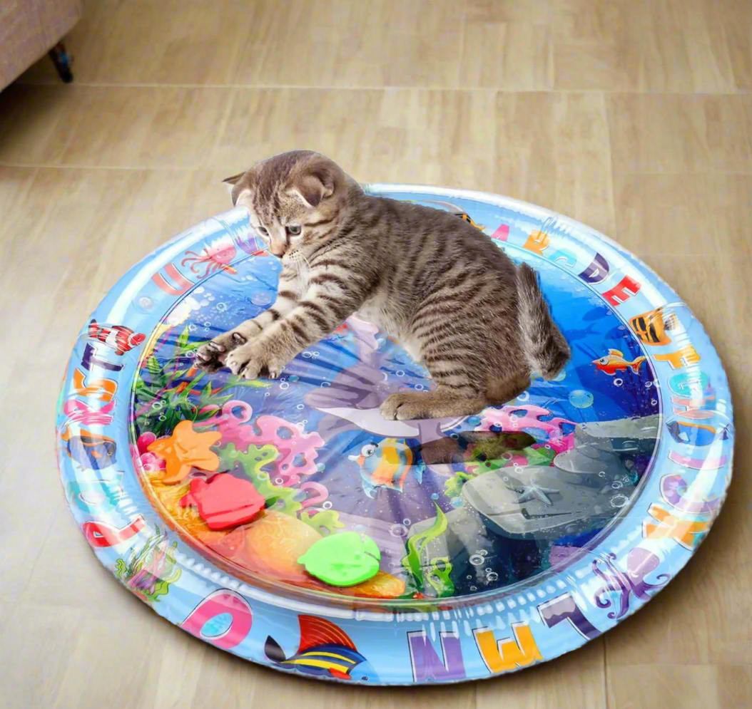 Kitten playing on colorful inflatable water mat with ocean-themed design, featuring floating toys. Perfect for pet entertainment and sensory play.