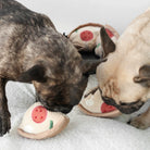 Two dogs playing with plush pizza slice toys on a white surface, featuring realistic toppings. Perfect pet toys for interactive play and chewing.