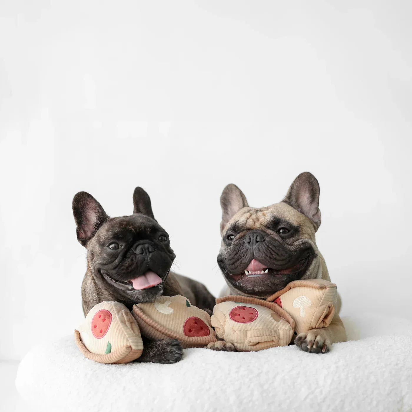 Two French Bulldogs with plush pizza toys, smiling on a white blanket. Cute pet accessories, playful dogs, adorable Frenchie puppies.